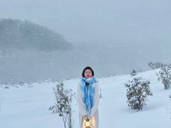 -丁香湖公园