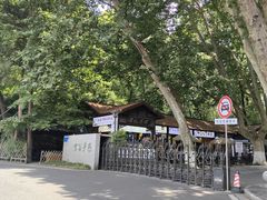 -灵谷景区