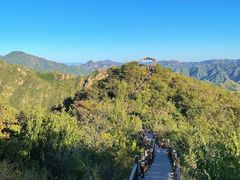-大岭沟猕猴桃谷风景区
