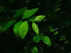 -HIB HUB公社(解放西路店)