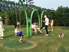 -迪茵湖田家舍生态农场