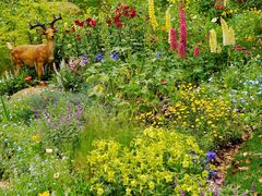 -上海共青森林公园