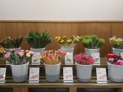 -鹿岛会员店 (龙湖三千集天街店)