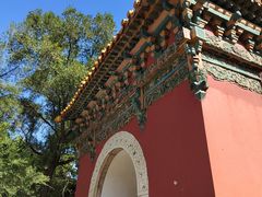 -北陵公园