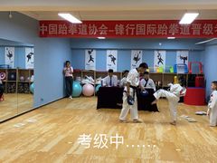 -嗨动跆拳道体能馆(菜百店)