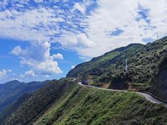 -武陵山森林公园