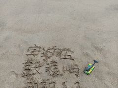 -贝壳梦幻世界
