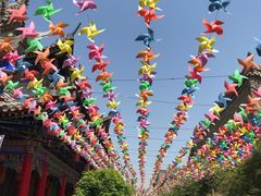 -渭南桃花源民俗文化园