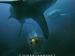 -CGV星星影城(颐堤港ScreenX店)
