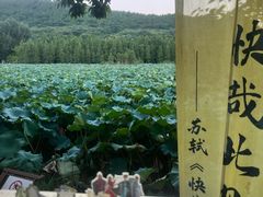 -云龙湖旅游景区