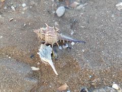 -彩虹沙滩