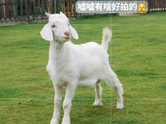 -上海杨姆庄园