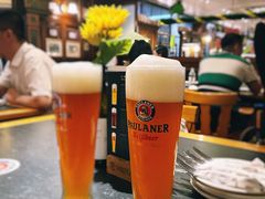 白啤-宝莱纳餐厅(滨江店)