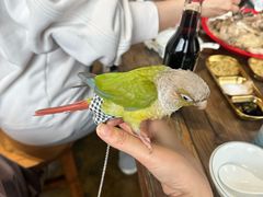 -崂山水果园农家宴(泉水鸡店)