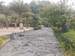 -腾冲洞山温泉村