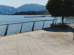 -闻泰花园酒店
