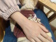 -藏猫猫咖啡主题馆(中央大道店)