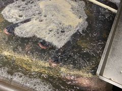 -张氏鱼庄
