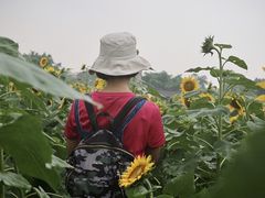 -广东花都香草世界旅游度假区