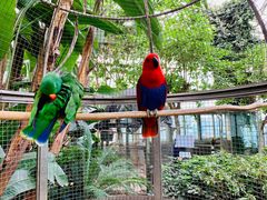 -大连森林动物园