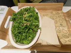 -油梨树 AVOCADO TREE(亮马桥店)