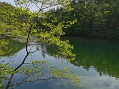 -无染寺