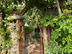-斯多格书乡(北京大学畅春园店)