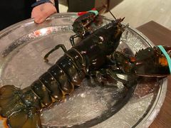-RED LOBSTER(环球影城大阪店)