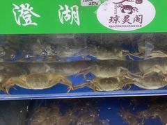 -阳澄湖大闸蟹·琼灵阁牌品牌连锁(吴中总店)