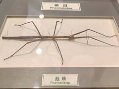 -上海昆虫博物馆