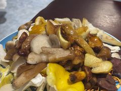 -菌之家·专业纯野生菌火锅·特色炒菌
