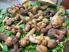 -大理董·董家小厨野生菌火锅(古城旗舰店)