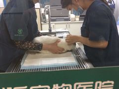 -瑞派紫金宠物医院24小时·骨科·中兽医·重症转诊中心(番禺大石院)