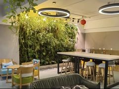 -引领英语·成人口语·雅思托福