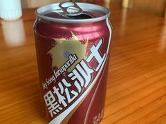 黑松沙士-百家班(花都店)