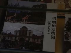 -北京动物园-畅观楼