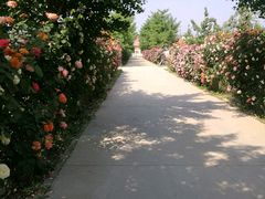 -意大利农场度假村