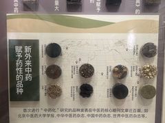 -北京中医药大学-中医药博物馆