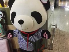 -熊猫邮局(少城店)