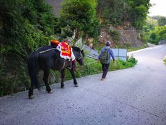 -西木兔(大圆祥店)