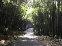 -苏州环秀晓筑养生度假村