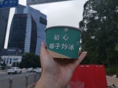 -初心炒酸奶(厚德品园店)