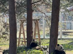 -西安秦岭野生动物园