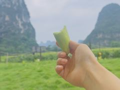 -明仕田园