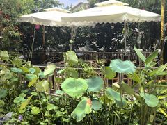 -田园印象·成都土菜院子(华阳店)