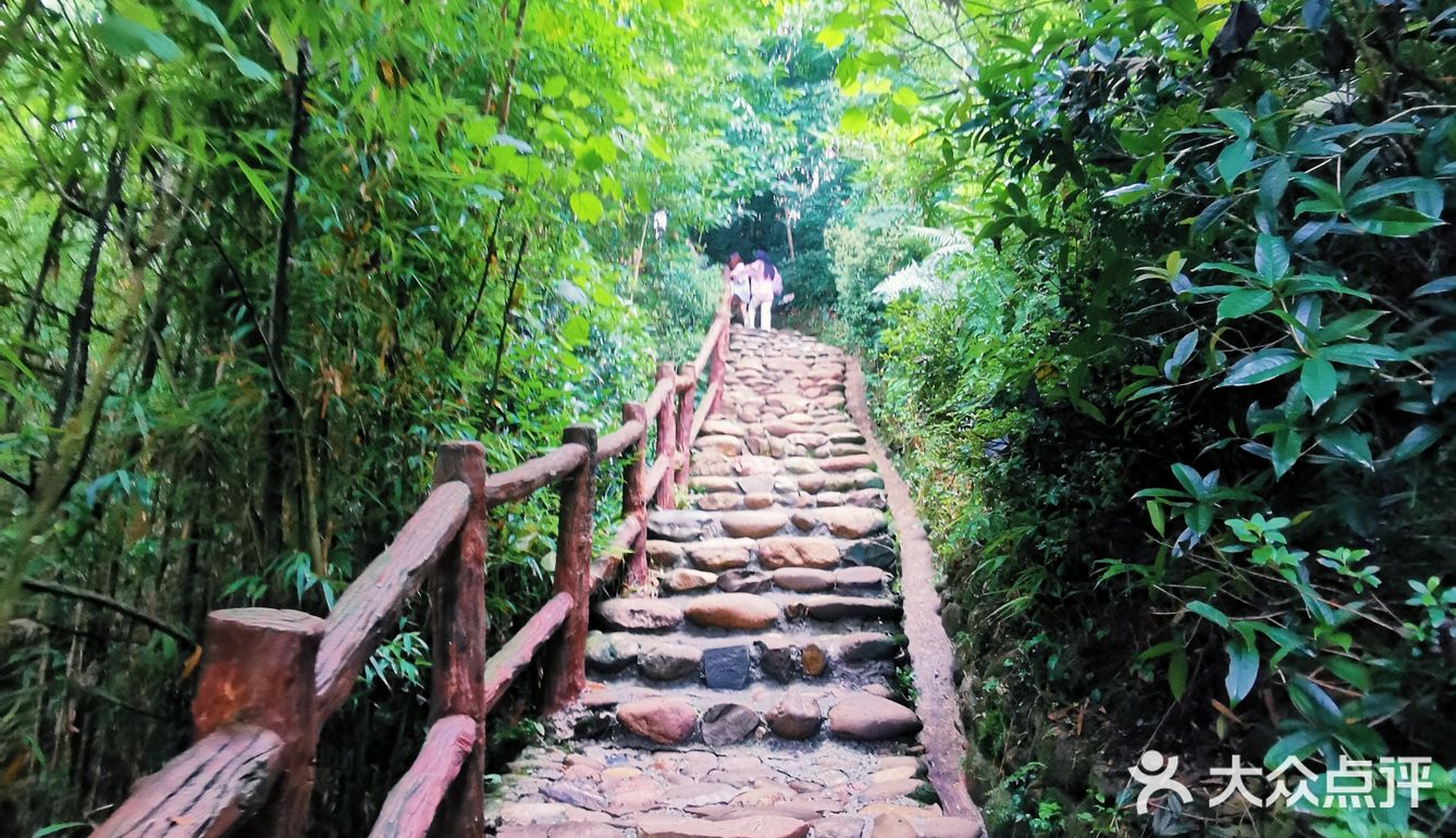 闯入熊猫🐼睡眠王国？[害羞]