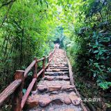 闯入熊猫🐼睡眠王国？[害羞]