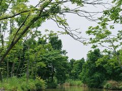 -宁波杭州湾国家湿地公园