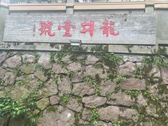 -龙井村