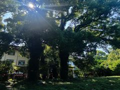 -普陀山雷迪森庄园
